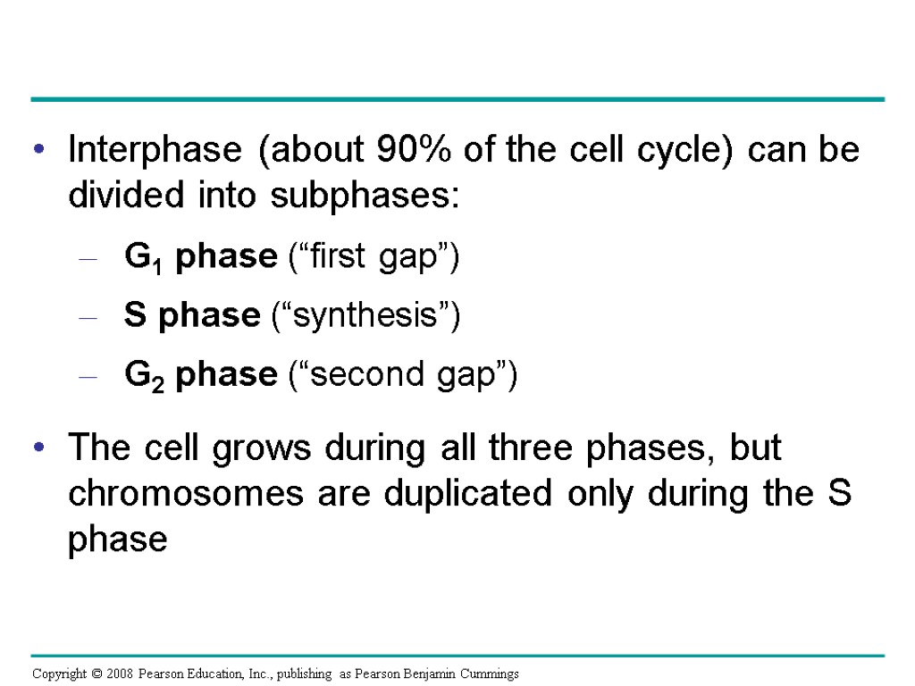 Interphase (about 90% of the cell cycle) can be divided into subphases: G1 phase